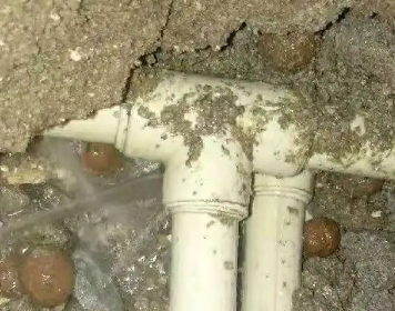 根河测漏水多少钱