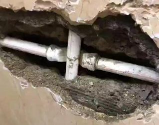 根河测漏水哪家好