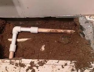 根河测漏水哪家好