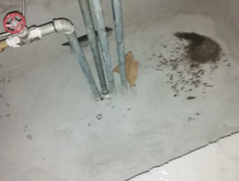 根河卫生间测漏水价格明细