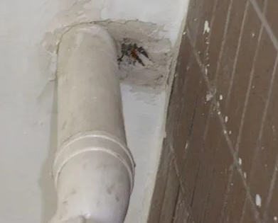 根河漏水检测哪家好